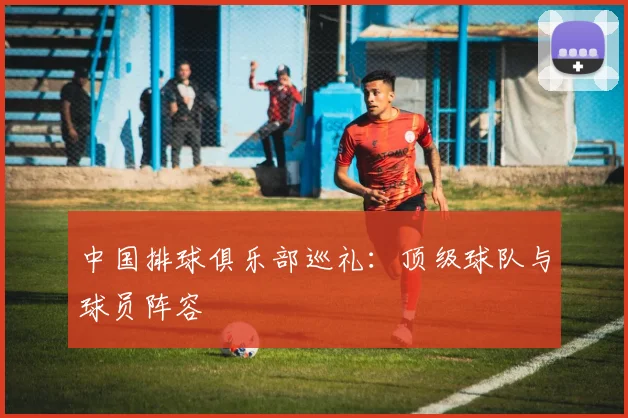 中国排球俱乐部巡礼：顶级球队与球员阵容