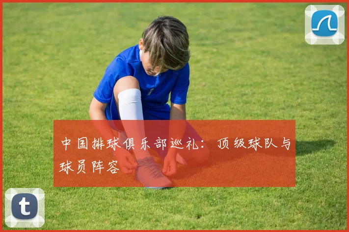 中国排球俱乐部巡礼:顶级球队与球员阵容