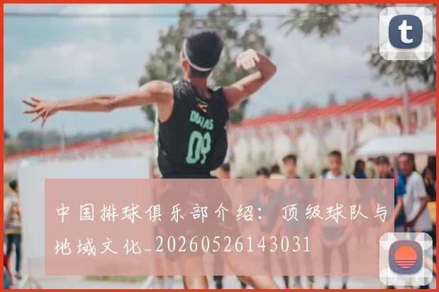 中国排球俱乐部介绍:顶级球队与地域文化_20260526143031